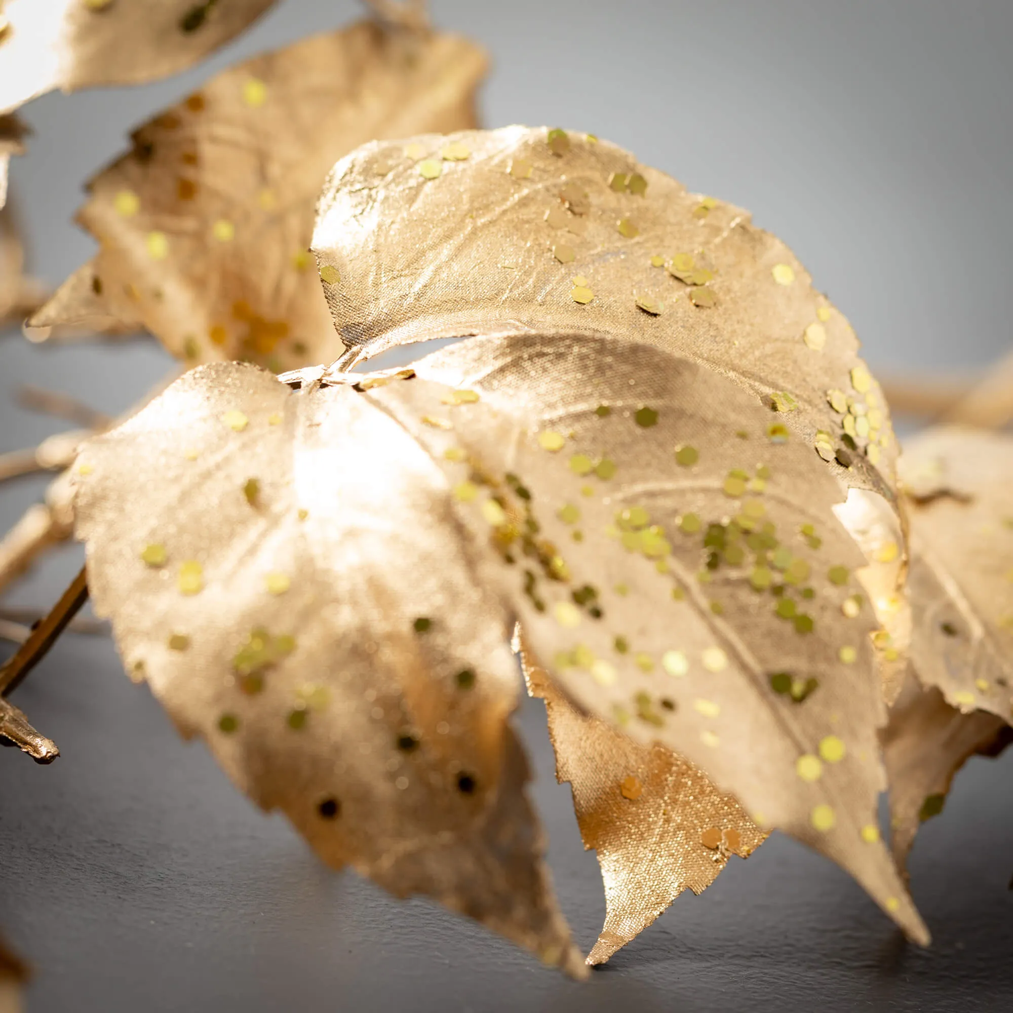 Boston Ivy Vine