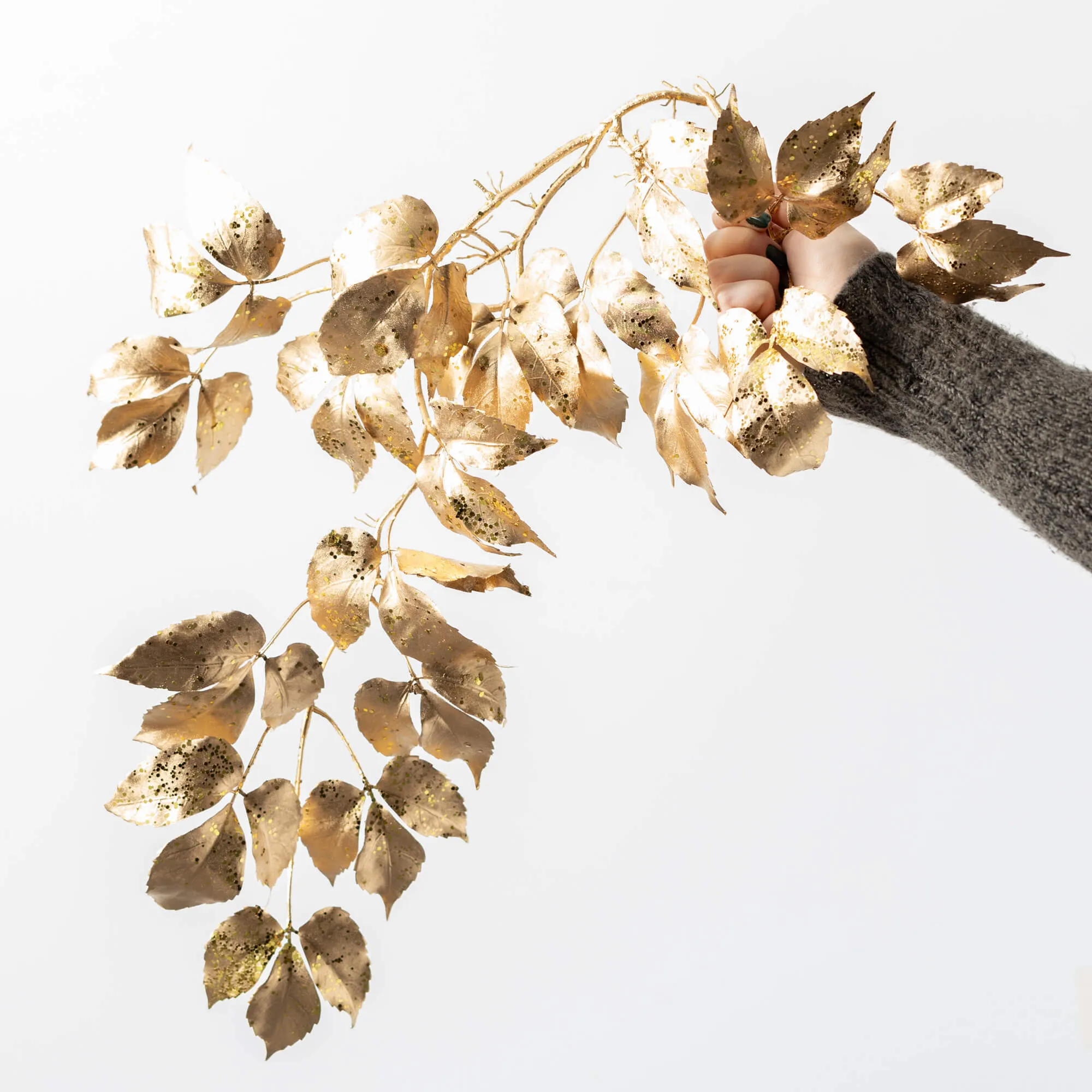 Boston Ivy Vine