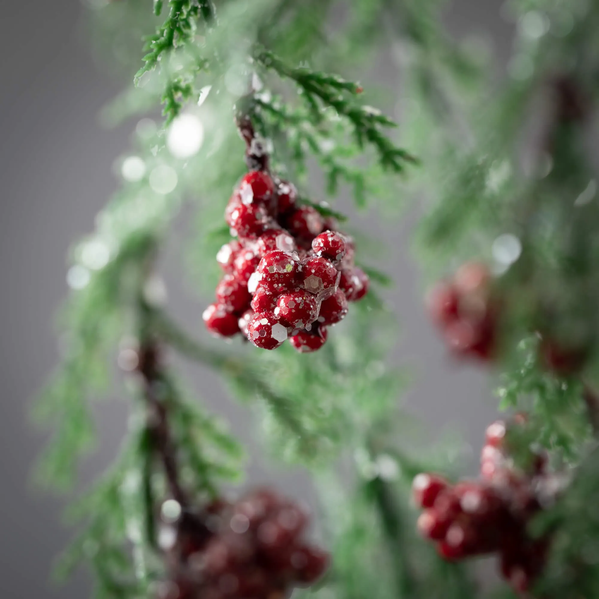 Cedar/Berry Spray